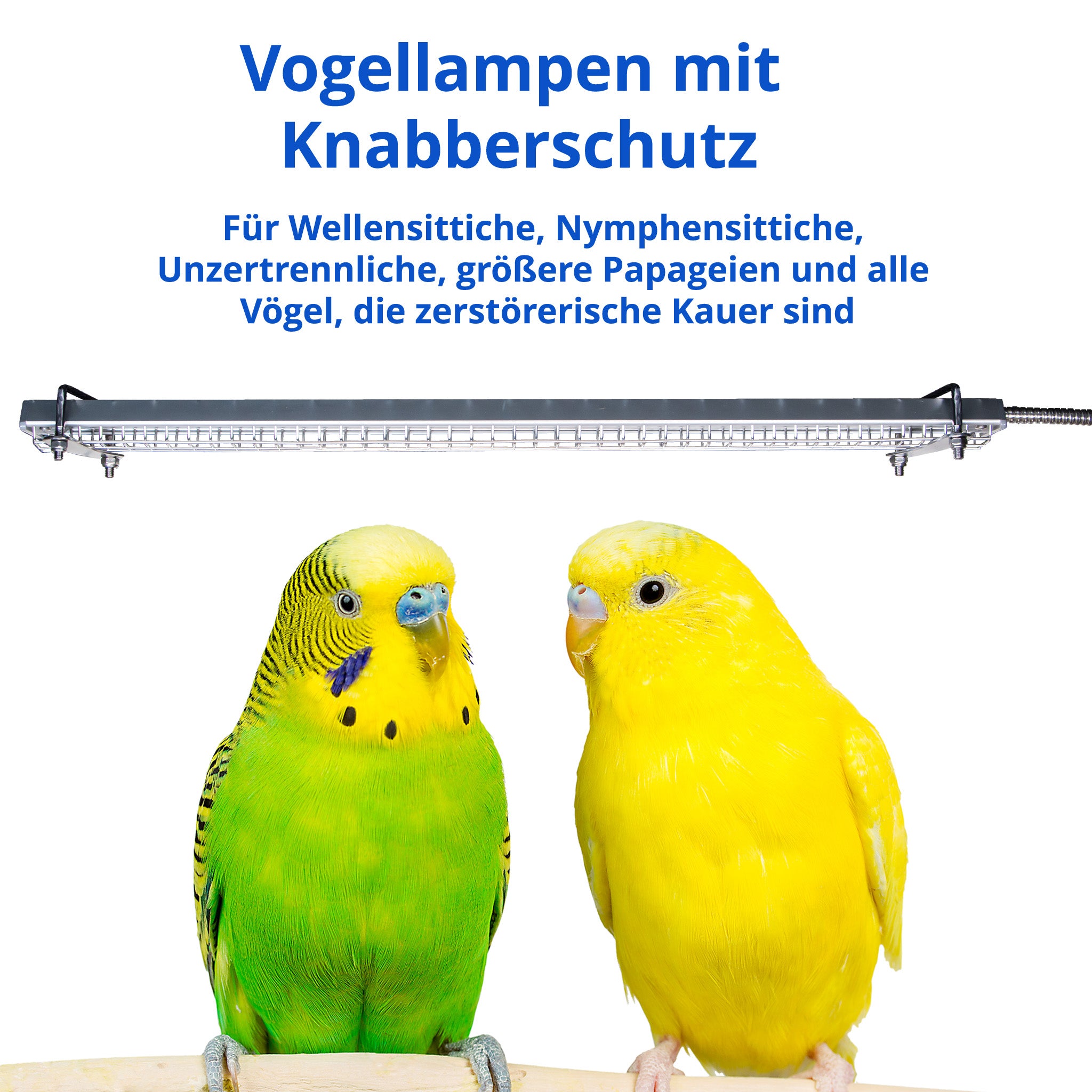 Kork Swingschaukel XXL Für Sittiche, Papageien