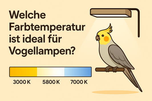 Welche Farbtemperatur ist ideal für Vogellichter?