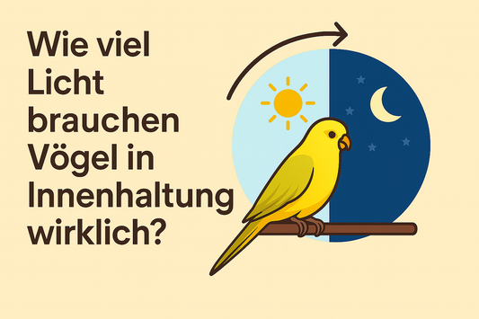 Wie viel Licht brauchen Vögel in Innenhaltung wirklich?